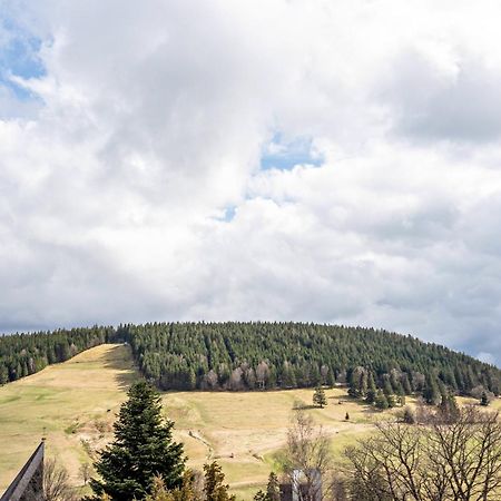 Appartement Haus Bergruh Kuckucksnest à Todtnauberg Extérieur photo