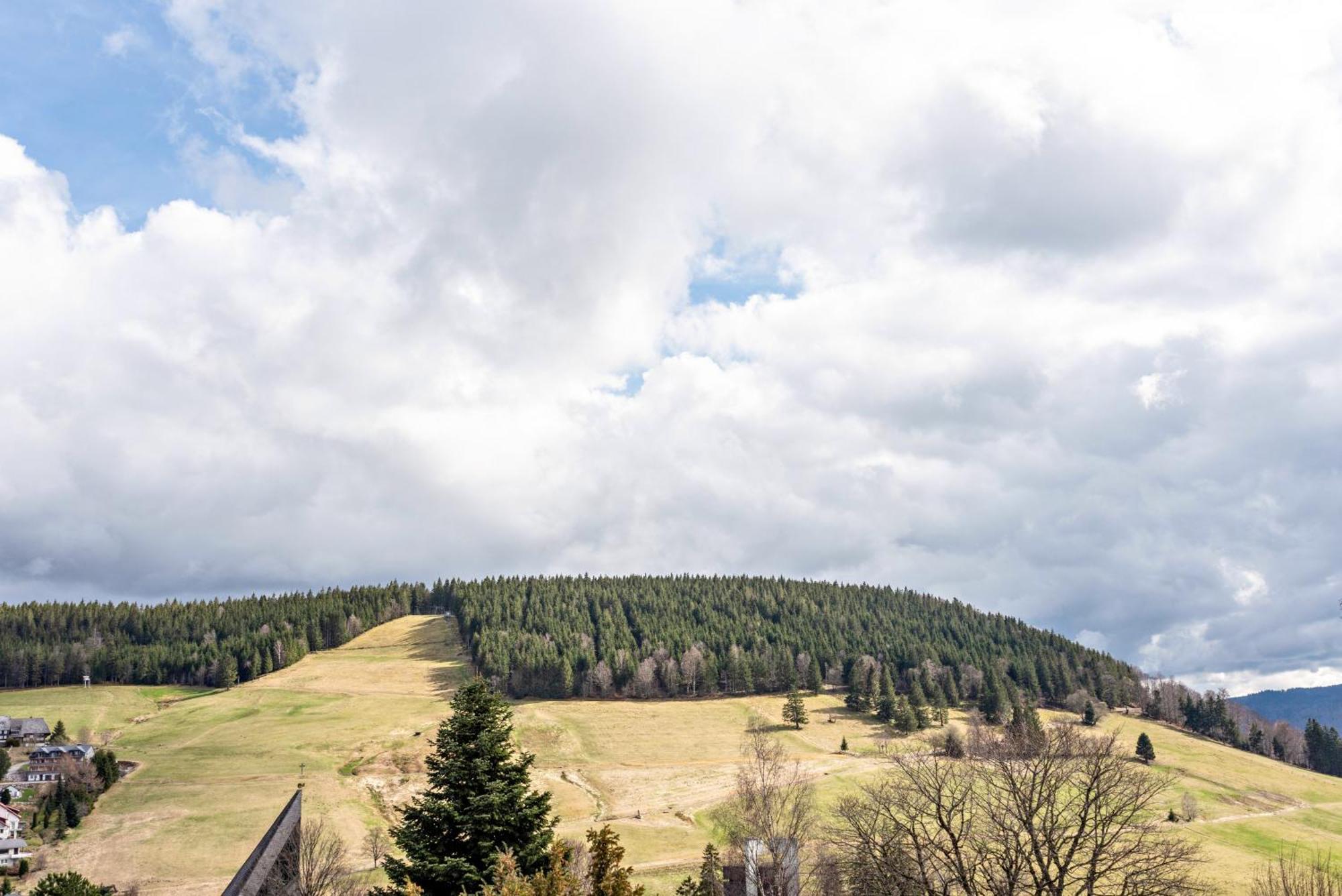 Appartement Haus Bergruh Kuckucksnest à Todtnauberg Extérieur photo